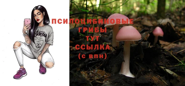 тгк Алексин