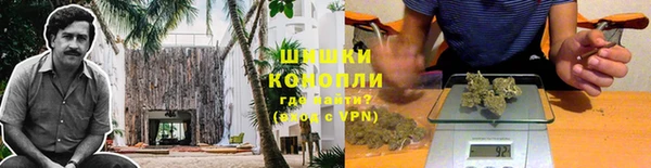 дмт Арсеньев