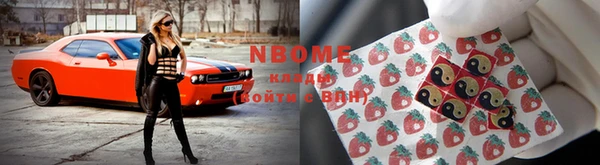 дмт Аркадак