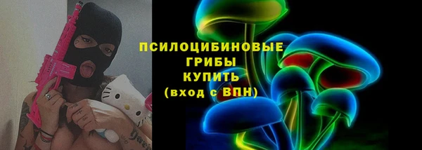 дмт Арсеньев